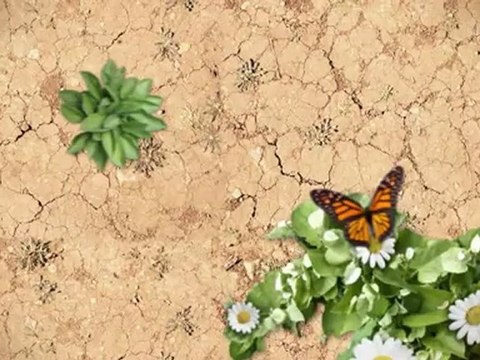 Future Lincoln of Roseville 2013 Lincoln MKS near Citrus Heights