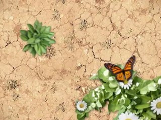 Future Lincoln of Roseville 2013 Lincoln MKS near Citrus Heights