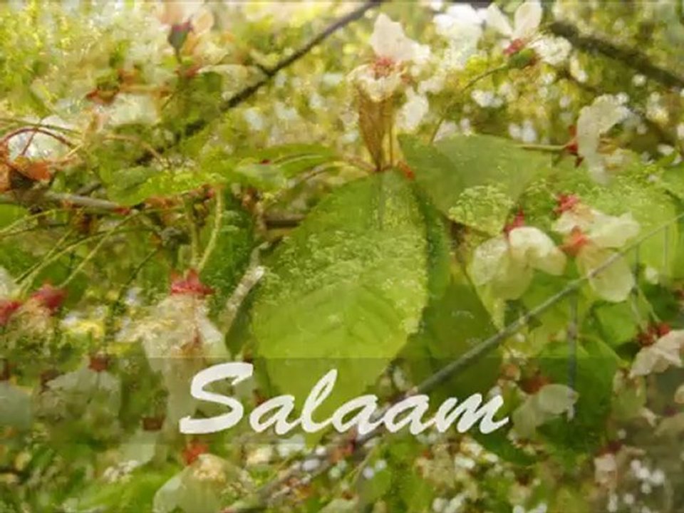 SABER REBAI (SALAM)صابرالرباعي (سلام)
