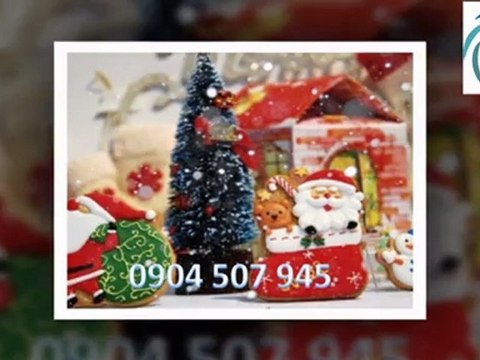 Nhận trang trí giáng sinh, trang trí noel 2012 tại Hà Nội 0904 507 945 (3)