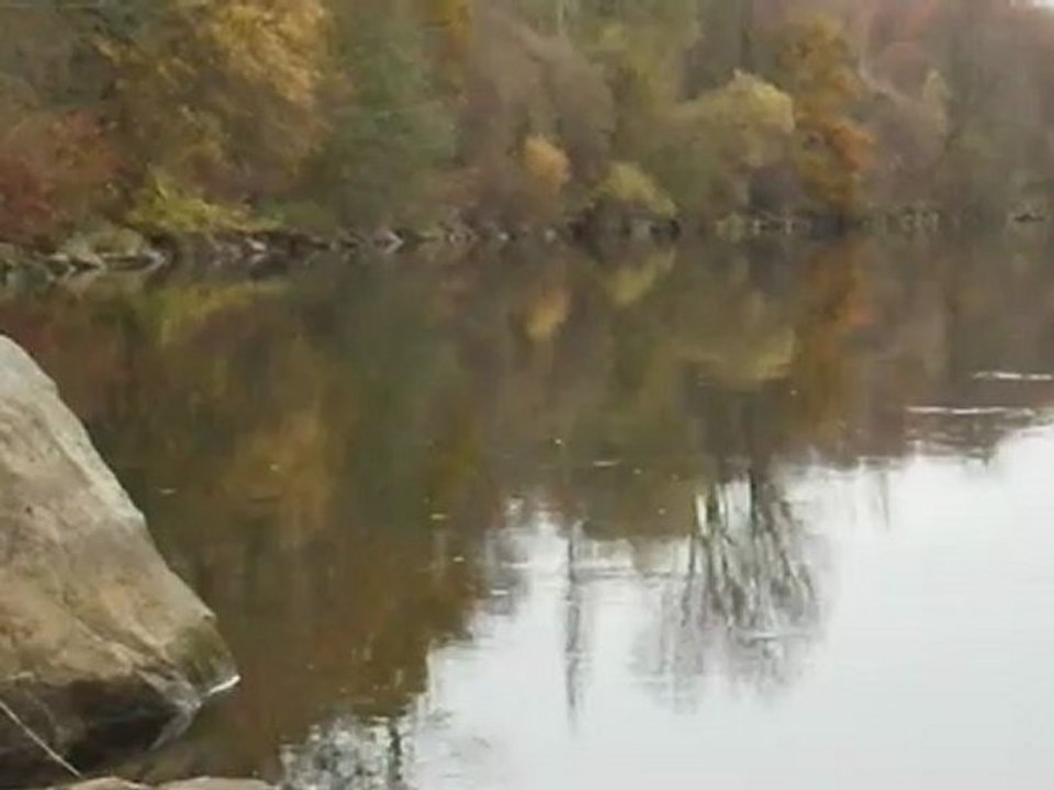 Gobage de chevaine