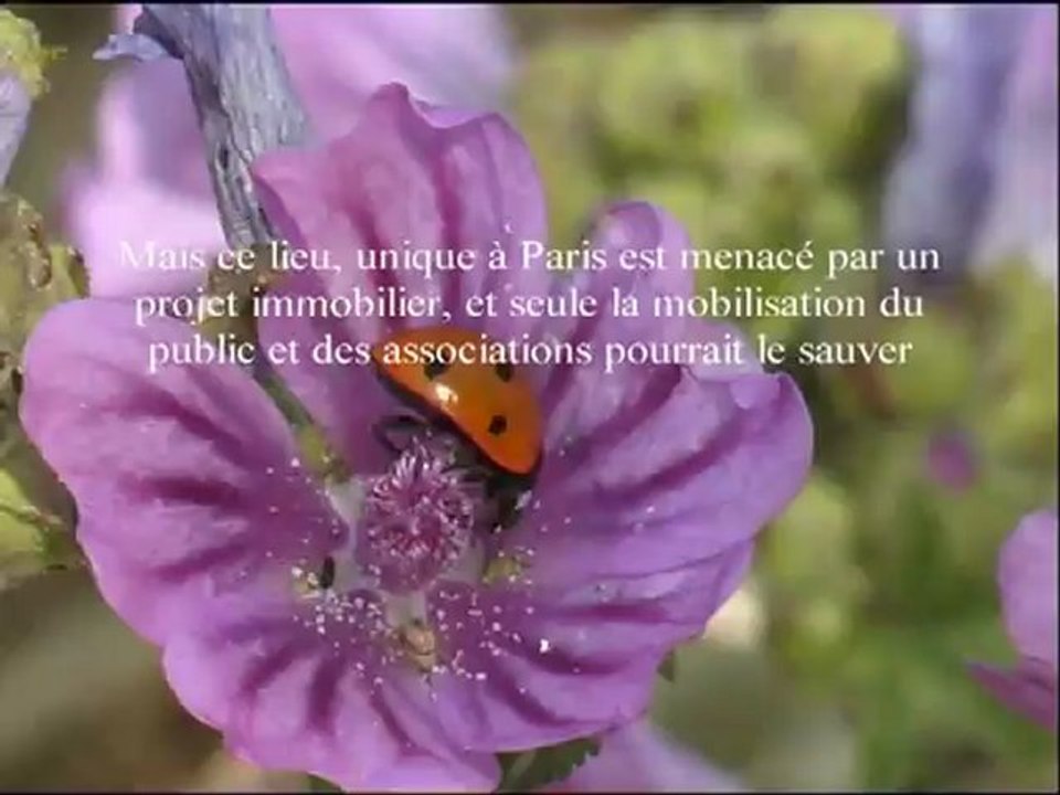 La Friche