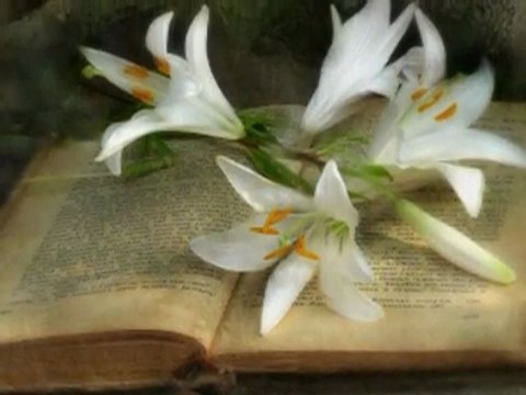 Sonate au clair de lune Richard Clayderman