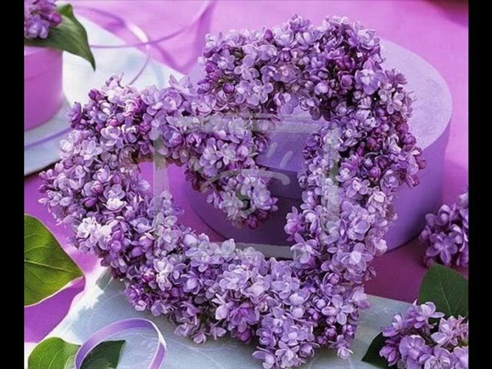 La valse des lilas. Daniel Guichard.