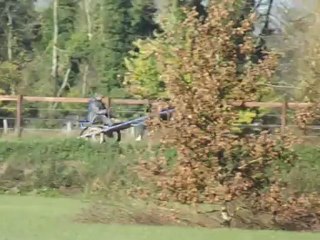 BLACK BABY (L'Ecu du Vernay & Lady du Jacky) - Premiers pas au débourrage!