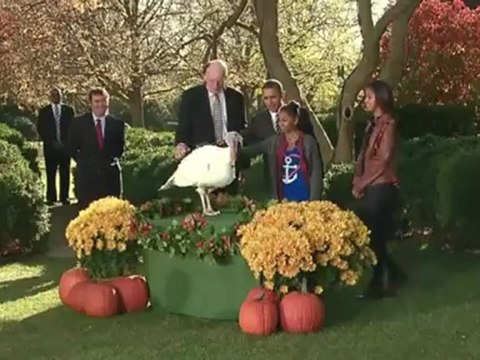 President Obama Pardons Cobbler Turkey Thanksgiving
