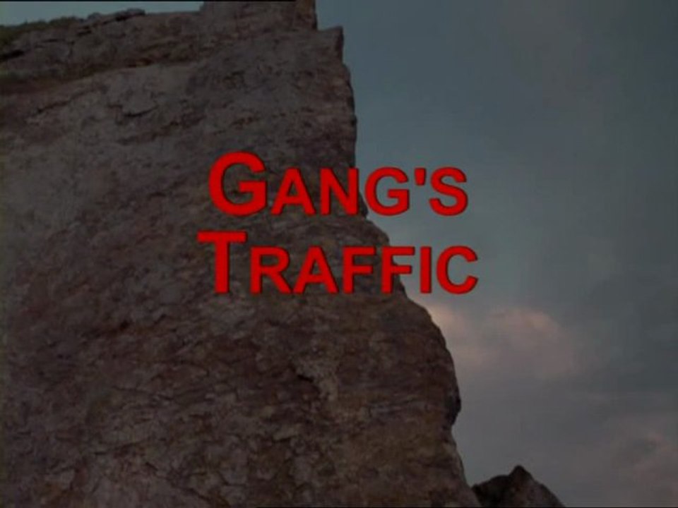 G.T. (1)