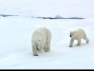 Extreme weather and climate change