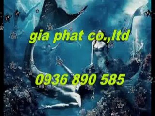 Sửa nhà,sơn nước giá rẻ tại quận 3,4 hcm call 0936 890 585