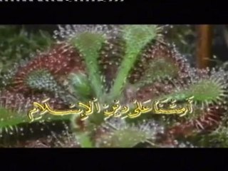 Zikir, Al-Mathurat dan Selawat