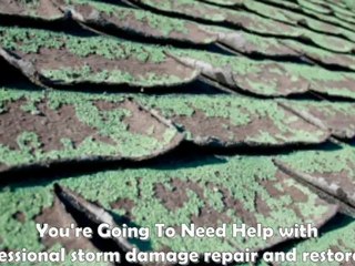 What should I look for in a water extraction company