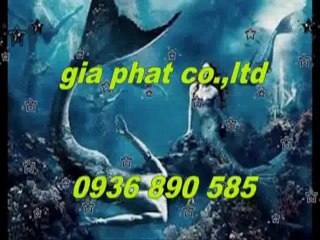 Sửa nhà,sơn nước giá rẻ tại quận 3,4 hcm call 0936 890 585