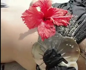 ARTISTES DE NOS VIES ...