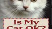 Crafts Book Review: Is My Cat Ok? How to Know... When Your Cat Won't Say by Jeff Nichol, Jeff Nichols