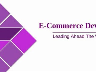E-Commerce Developer - Leading Ahead The Web World