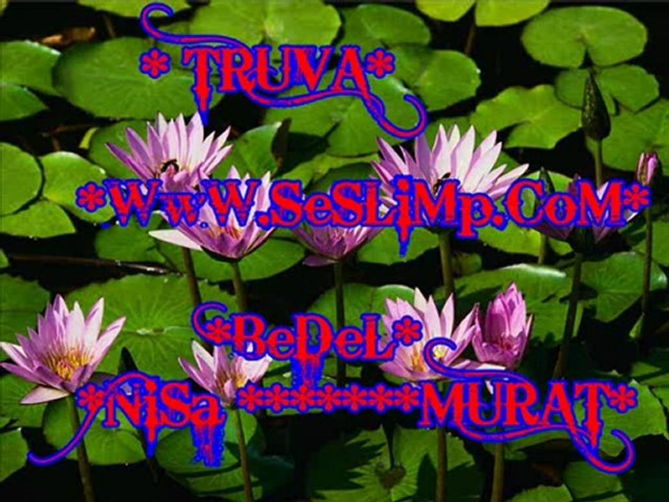 SEYFI DOGANAY ((Mc-BeDeL)) Murat@SeSLiMp.CoM