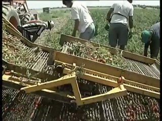 TG 20.11.12 Coldiretti Puglia, è allarme per i pensionati agricoli