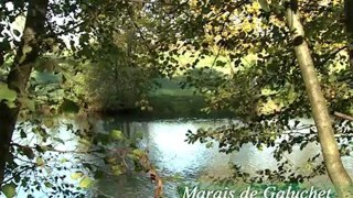 Niort, capitale de la biodiversité