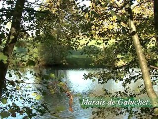 Niort, capitale de la biodiversité