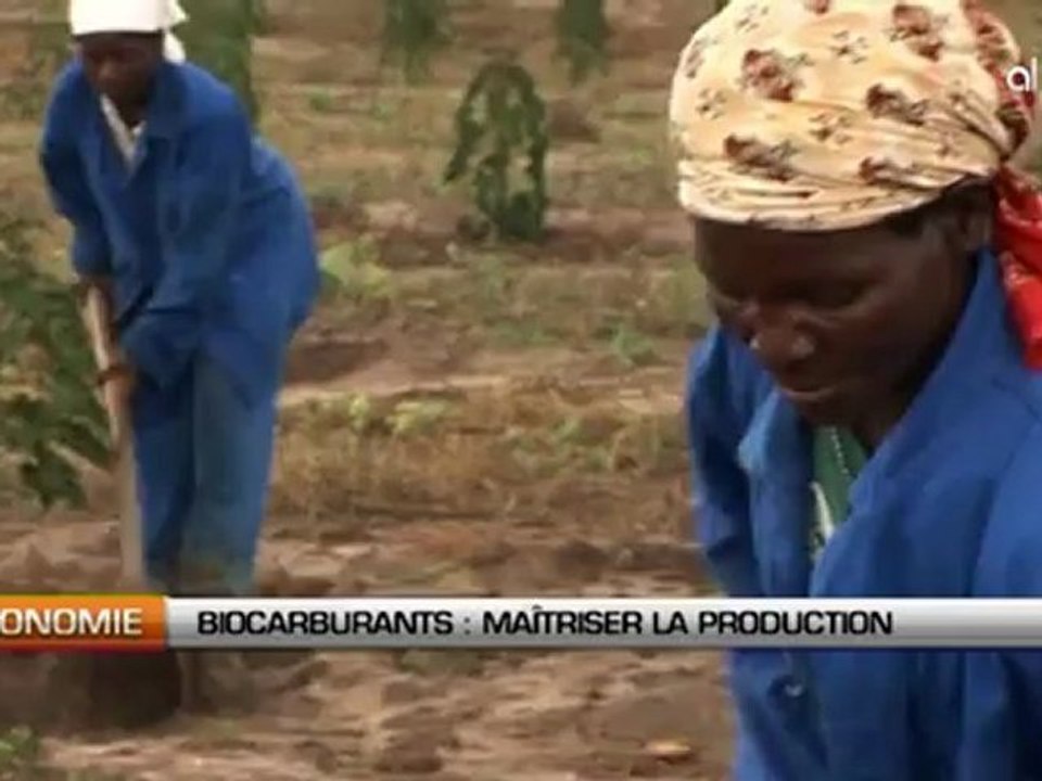 Biocarburants: La FAO demande de la prudence