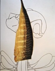 ROUGE ET BLANC  DE RAVAT PASCAL