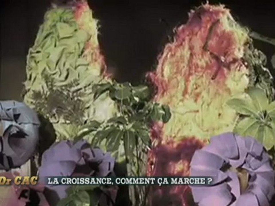 Dr Cac - La croissance, comment ça marche ?