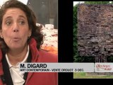 DIGARD - Vente aux enchères judiciaire  - Collection Art Contemporain / 03/12/2012 - Drouot