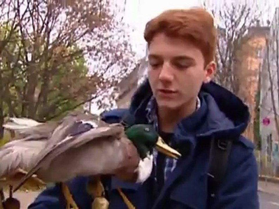 Schuhe aus Pferdehufen | Euromaxx