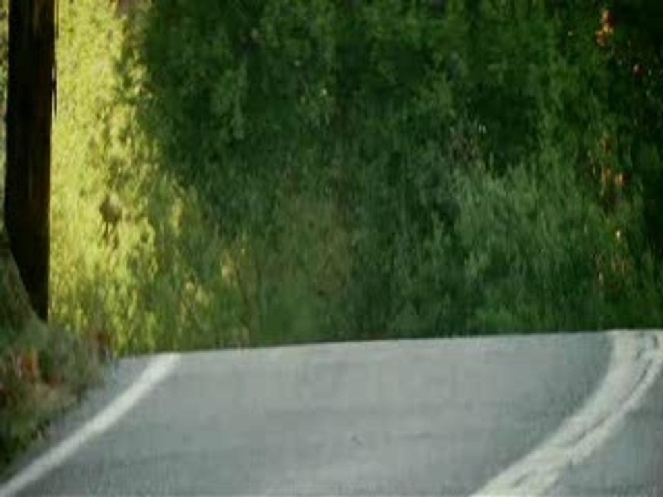 baboulinet - jackass