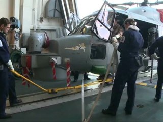 Interview d'un chien jaune