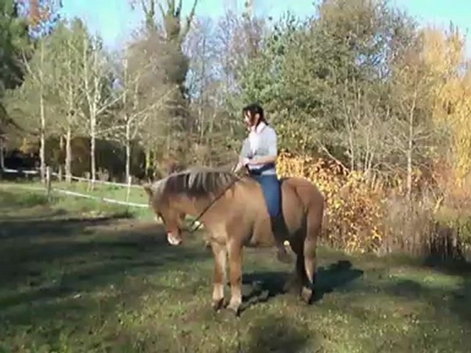 Séance à pied - 22 novembre 2012