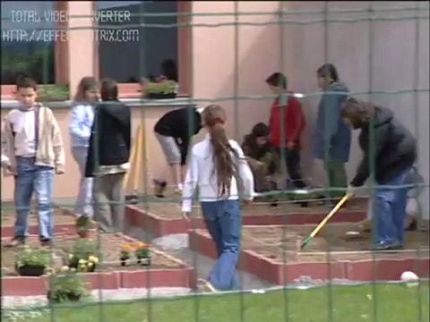 Pays de Haute Mayenne : politiques énergétiques et lutte contre l'effet de serre