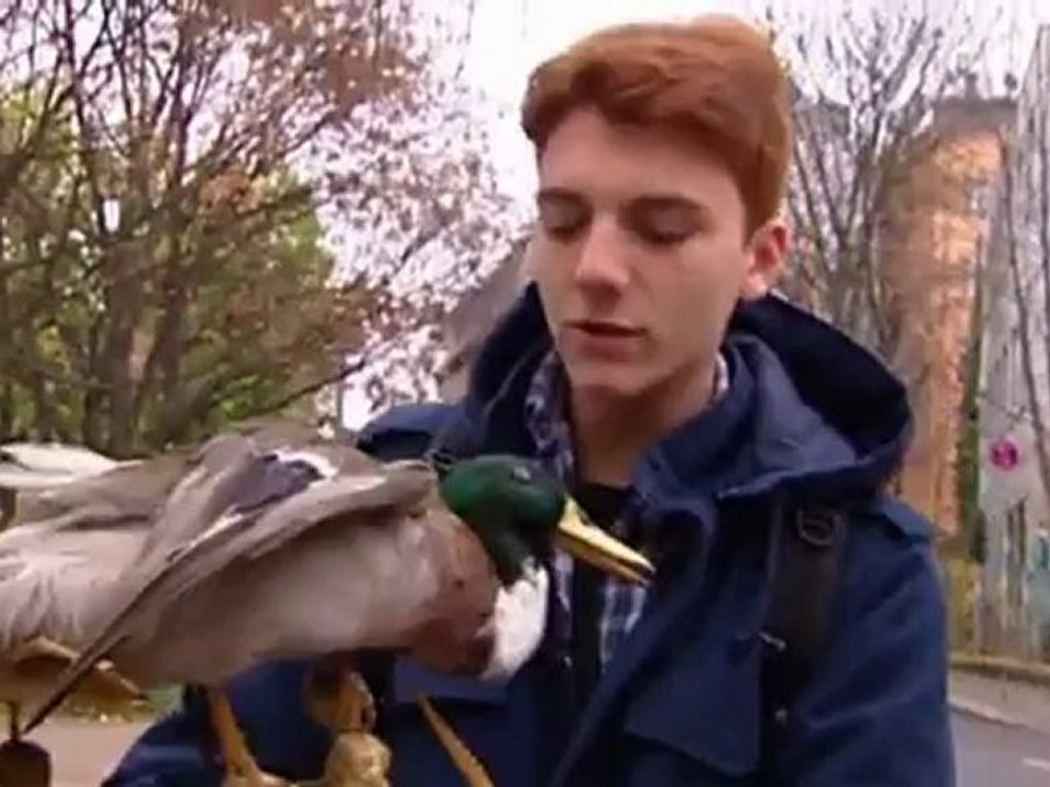 Zapatos hechos con pezuñas de caballo | Euromaxx