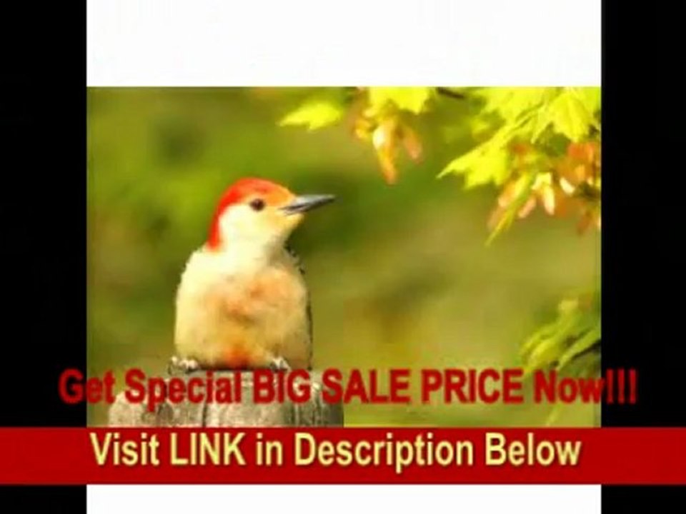 [REVIEW] Nikon 200-400mm f/4G AF-S SWM SIC ED IF VR II Nikkor Super Telephoto Zoom Lens for Nikon Digital SLR Cameras