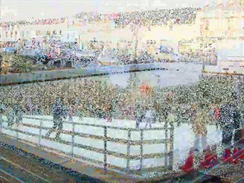 Spécial Patinoires