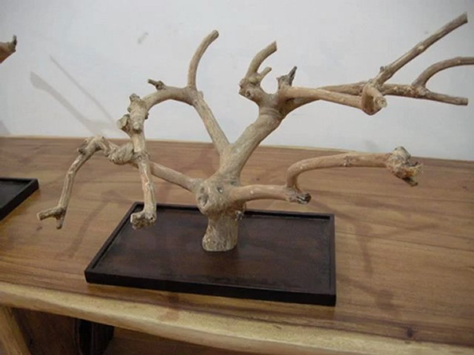 Bird Stands