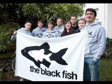 Interview with co-founder of The Black Fish Wietse van der Werf on the new episode of The Species Barrier radio