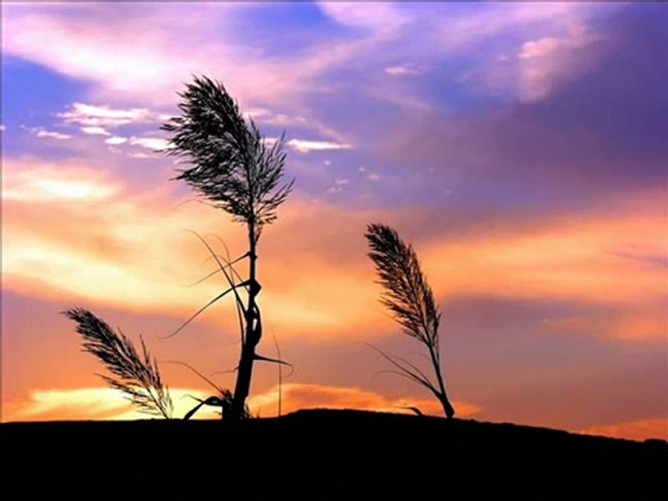 الشيخ فارس عباد - سورة الطارق