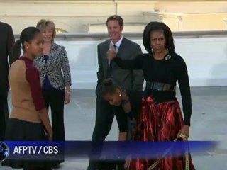 First lady presented with White House Christmas tree
