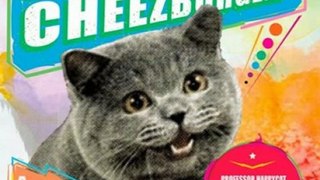 Crafts Book Review: I Can Has Cheezburger?: A LOLcat Colleckshun by Professor Happycat, icanhascheezburger.com