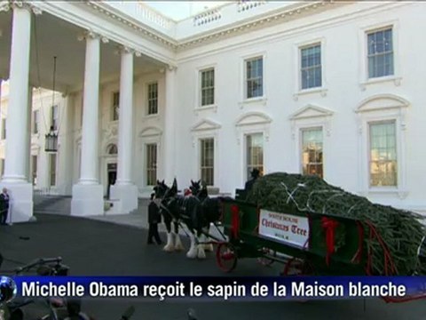 Michelle Obama reçoit le sapin de Noël de la Maison Blanche