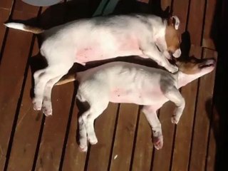 (Russell) Jekilll et sa fiancée en mode gros câlins  au soleil