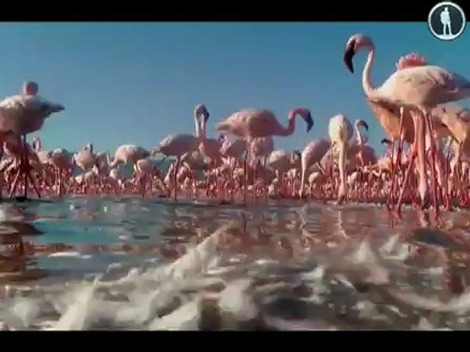 Африка