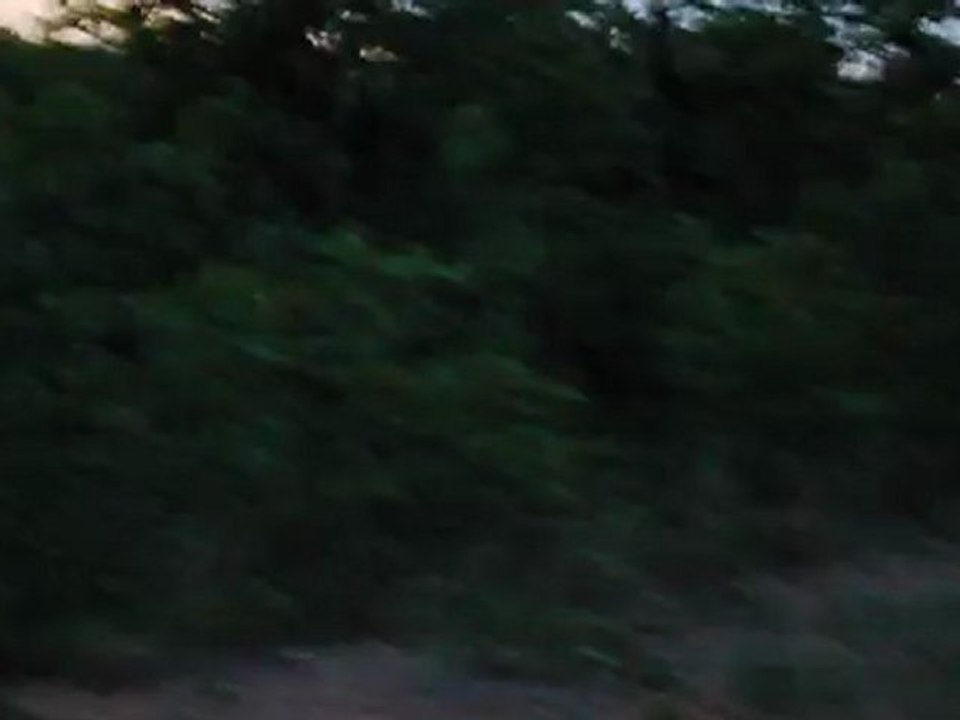 Lions at Kruger Park