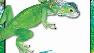 Crafts Book Review: The Lizard Keeper's Handbook (Herpetocultual Library) by Phillipe De Vosjoli