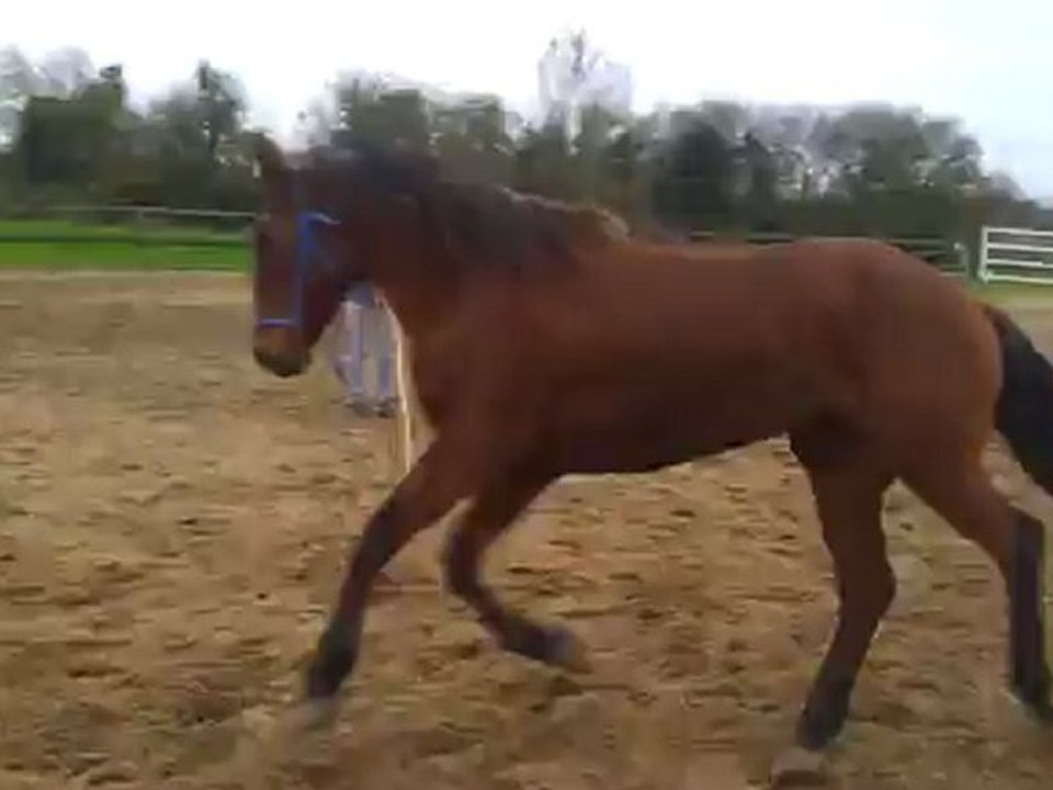 taiiiiiho