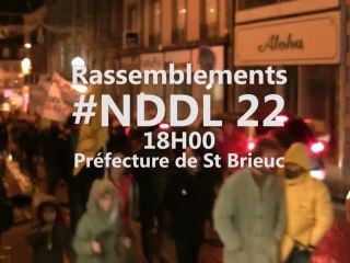 NDDL : rassemblement à St Brieuc