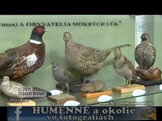 Vihorlatské múzeum v Humennom - Prírodovedná expozícia