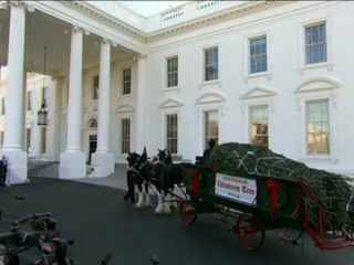 Llega el pino de Navidad de la Casa Blanca