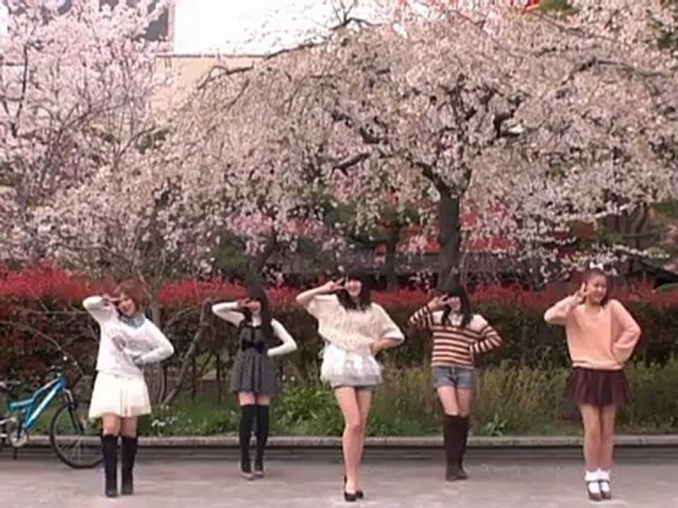 Sakura Chirari 2012 Shinsei Naru Ver